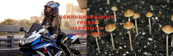 ГАЛЛЮЦИНОГЕННЫЕ ГРИБЫ Мегион