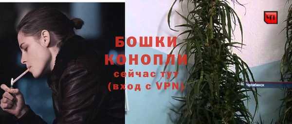 эйфоретик Медногорск
