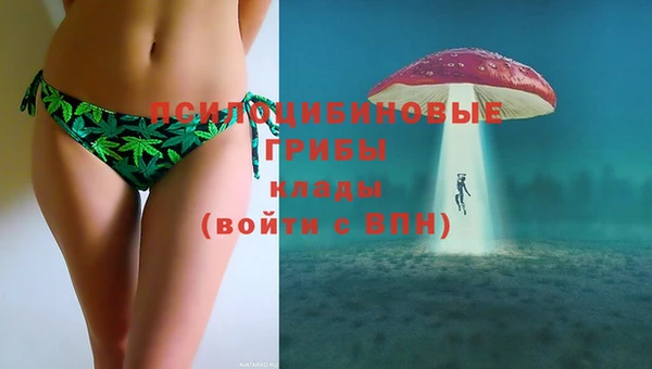 тгк Медвежьегорск