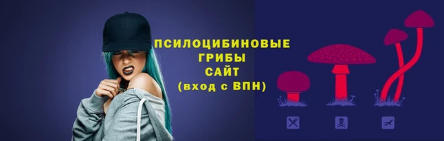 эйфоретик Медногорск
