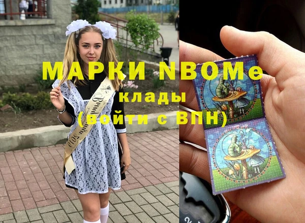 шишки Болотное
