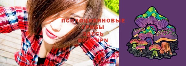 тгк Медвежьегорск