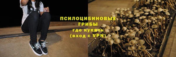 шишки Болотное