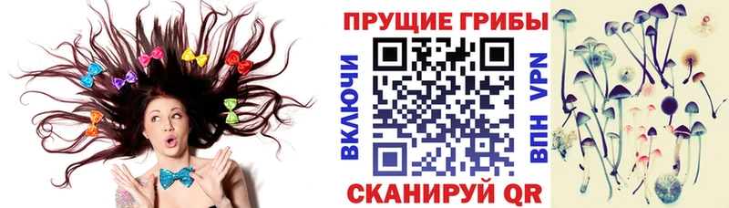 Галлюциногенные грибы Psilocybe  Малоярославец 