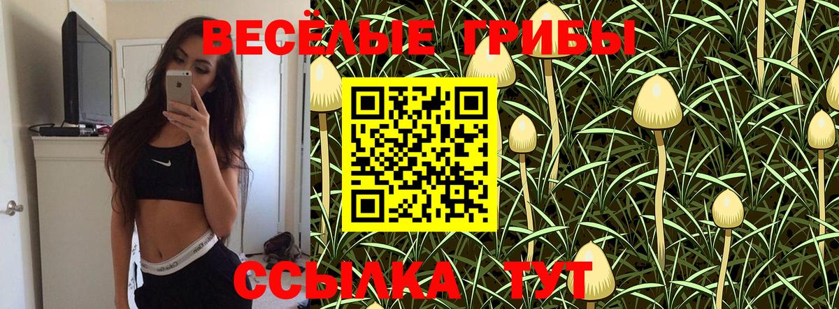 где купить наркотик  Малоярославец  Галлюциногенные грибы прущие грибы 